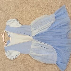 Cinderella Dress
